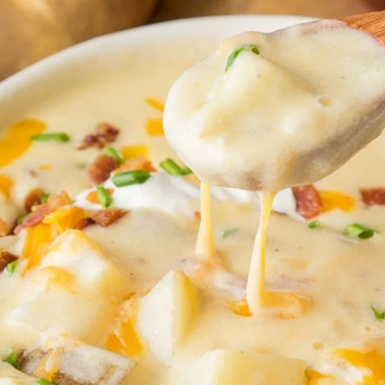 Soup of the Day